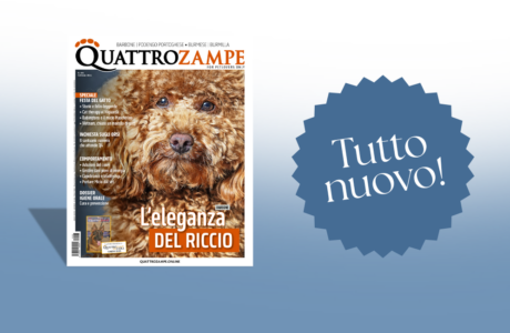 Quattrozampe si rinnova: una nuova veste per raccontare il mondo degli animali