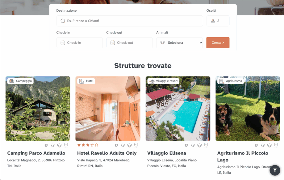 Nasce il nuovo Quattrozampe Travel: la piattaforma per viaggiare con i propri animali in modo semplice, sicuro e consapevole